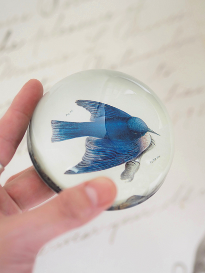 Pudgy (Bluebird) Dome Paperweight - The Cross Decor & Design