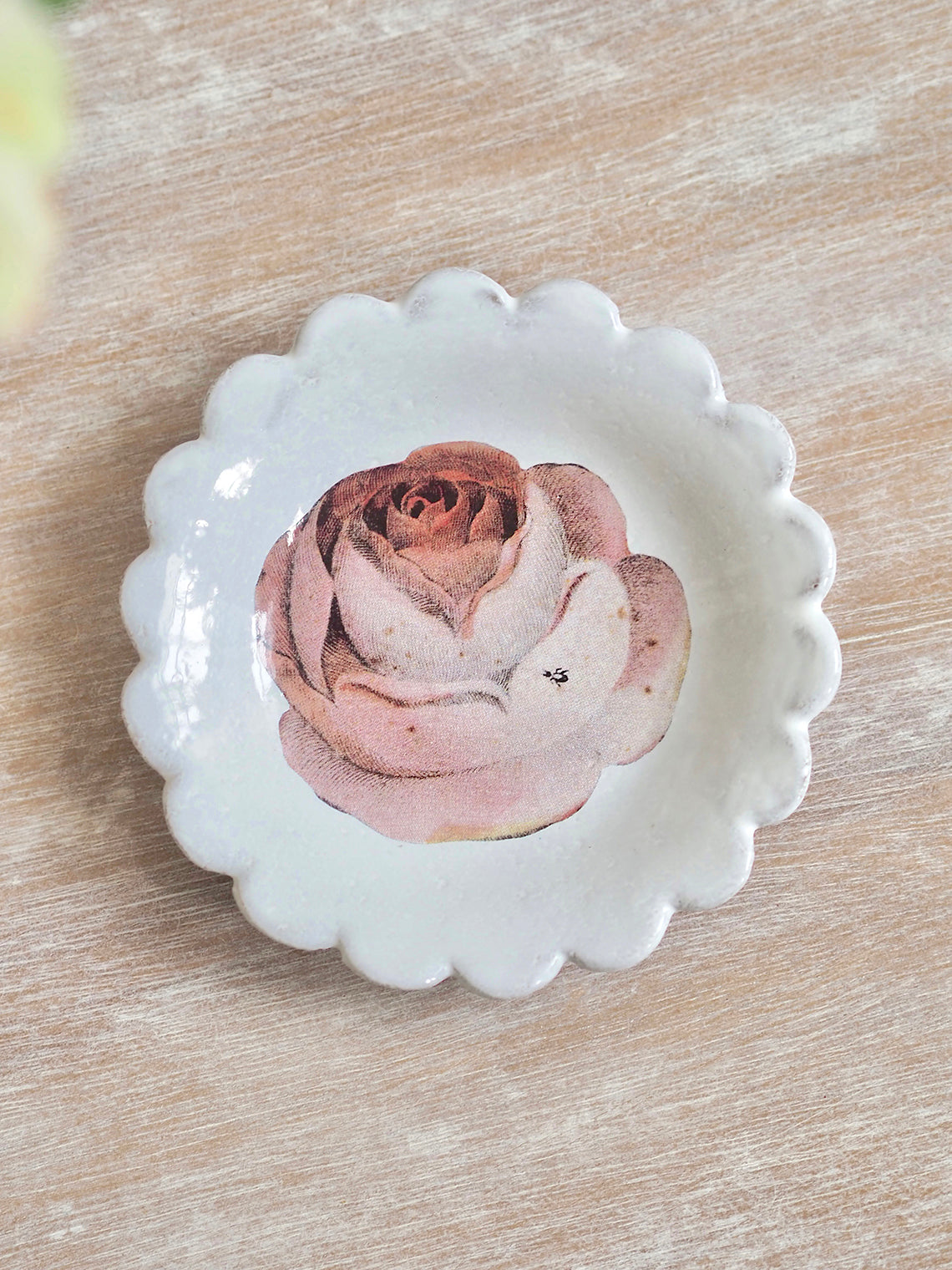 John Derian Rose With Insect Saucer