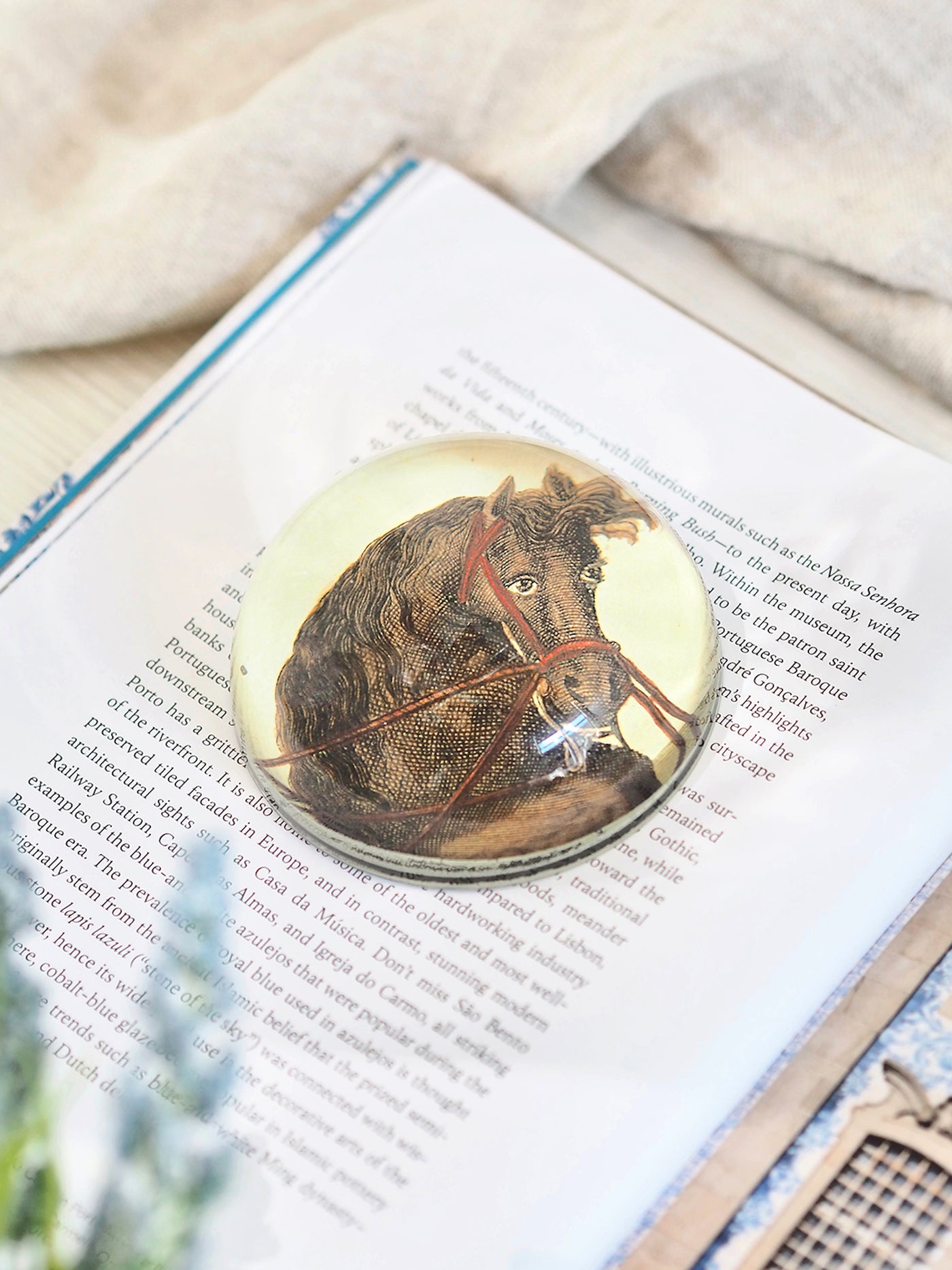 Terre a Terre a Droite (Horseman) Dome Paperweight