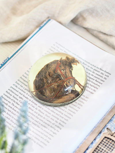 Terre a Terre a Droite (Horseman) Dome Paperweight