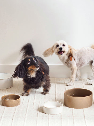 Bonely White Pet Bowls - The Cross Decor & Design