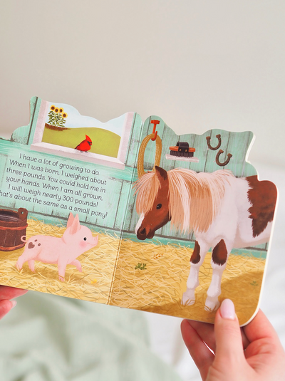 A Little Piglet Book - The Cross Decor & Design