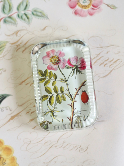 Rosa Canina Dotted Edge Rect. Paperweight - The Cross Decor & Design