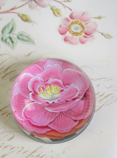 Camellia Dome Paperweight - The Cross Decor & Design