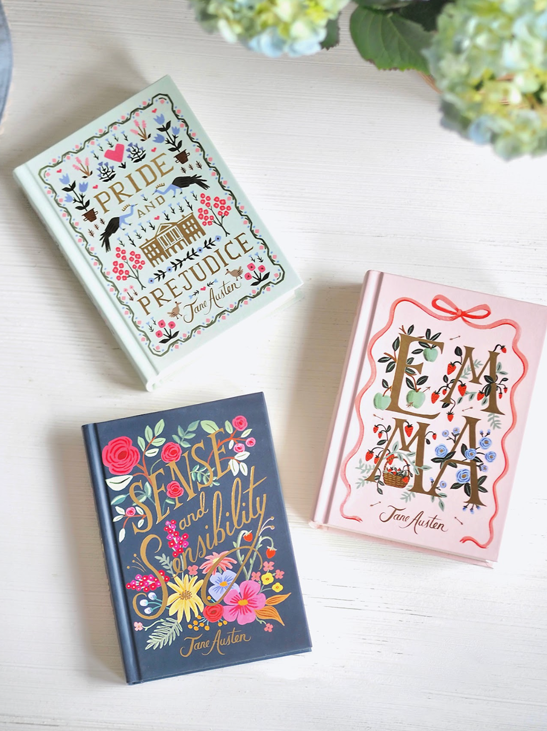 Sense and Sensibility | Illustrated by Anna Bond Book