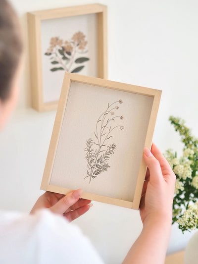 White Scabious Framed Print 8.5x7"