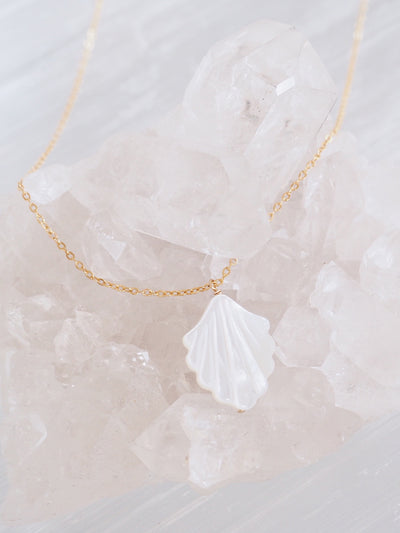 Coquille Necklace