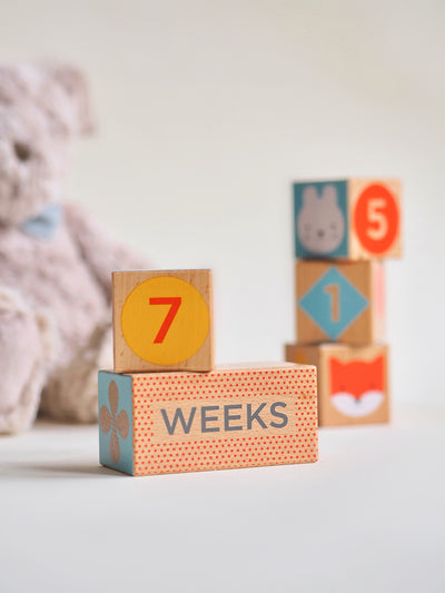 Wooden Milestone Baby Blocks - The Cross Decor & Design