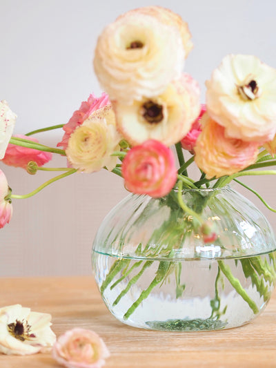 Canopy Seed Vase | Round