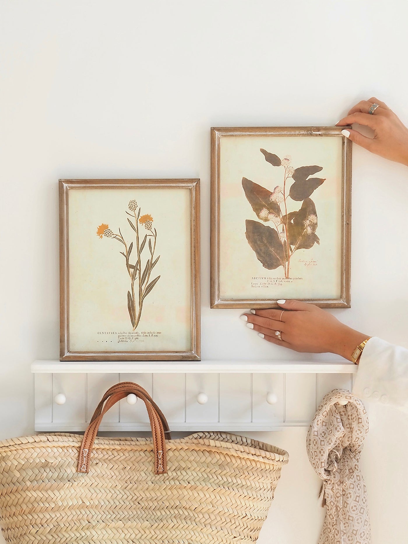 Botanicals Framed Prints | 10" x 13" - The Cross Decor & Design