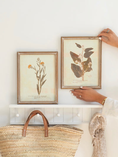Botanicals Framed Prints | 10" x 13" - The Cross Decor & Design