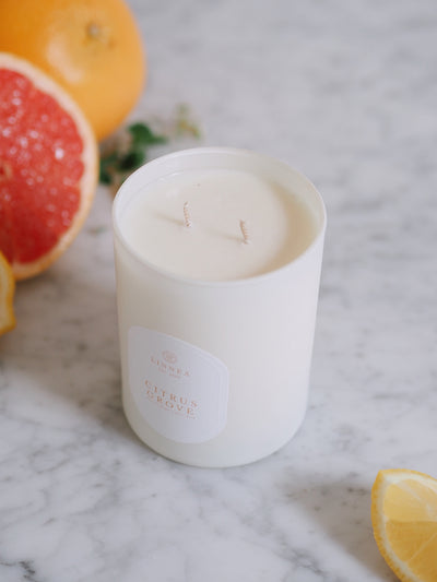 Citrus Grove 2 Wick Candle