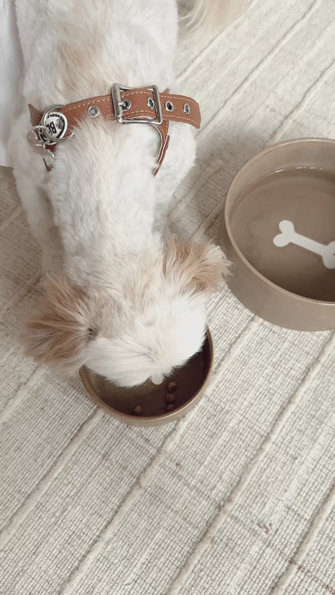 Bonely Brown Pet Bowls