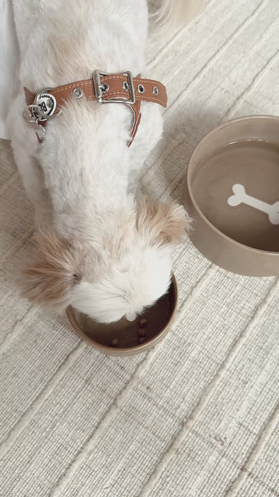 Bonely Brown Pet Bowls