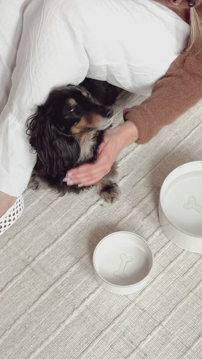 Bonely White Pet Bowls