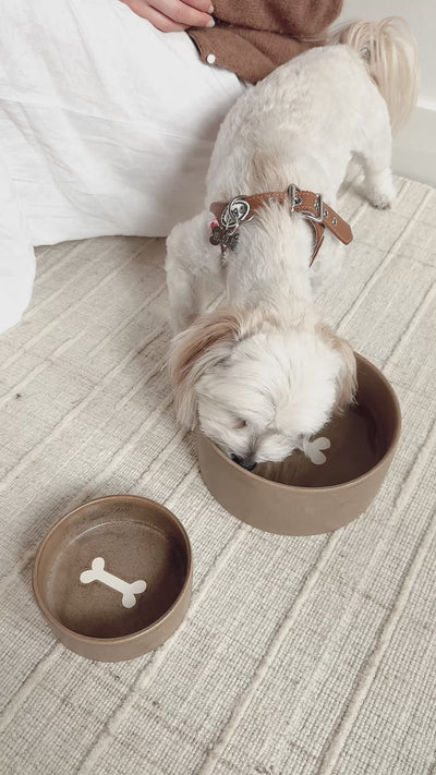 Bonely Brown Pet Bowls