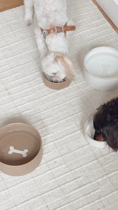 Bonely Brown Pet Bowls