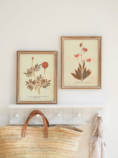 Botanicals Framed Prints | 10" x 13" - The Cross Decor & Design