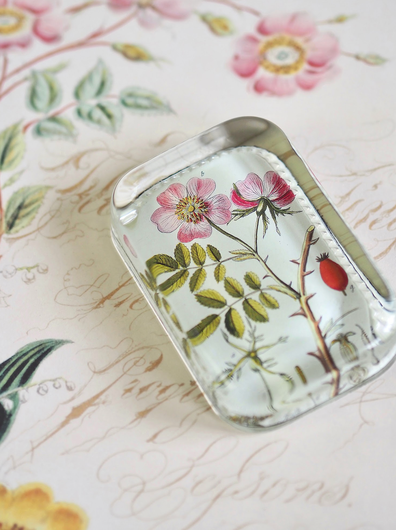 Rosa Canina Dotted Edge Rect. Paperweight - The Cross Decor & Design
