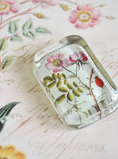 Rosa Canina Dotted Edge Rect. Paperweight - The Cross Decor & Design