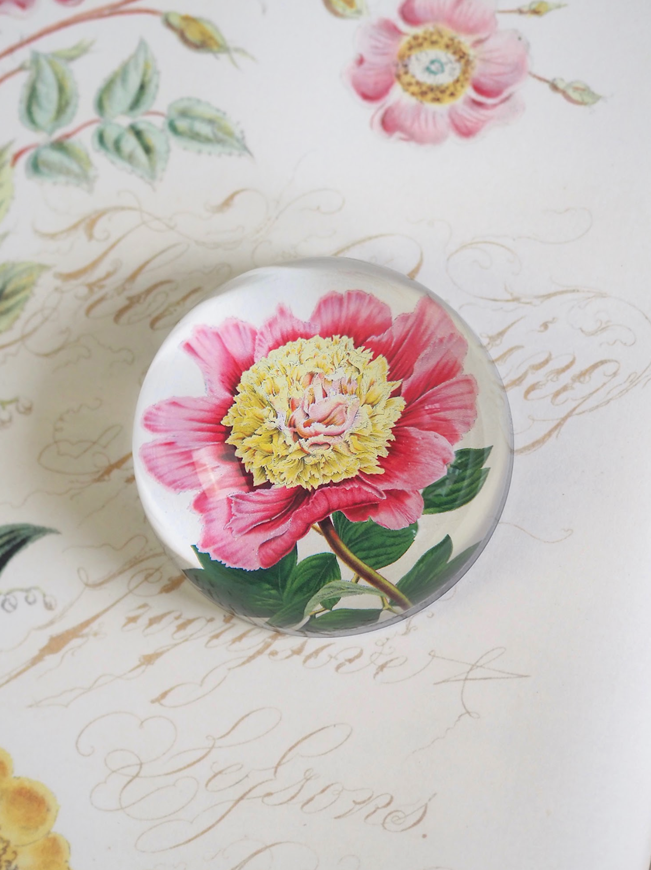 Peony Albifl Dome Paperweight - The Cross Decor & Design