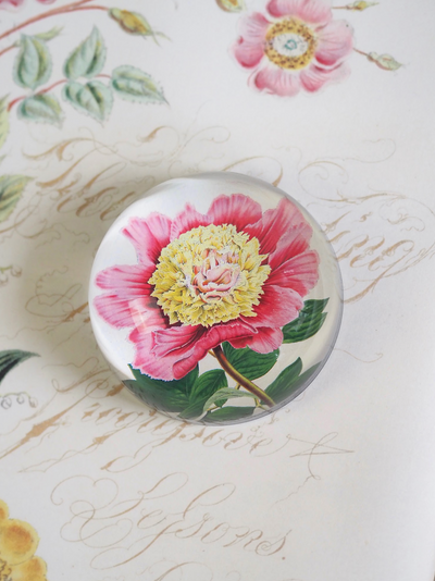 Peony Albifl Dome Paperweight - The Cross Decor & Design