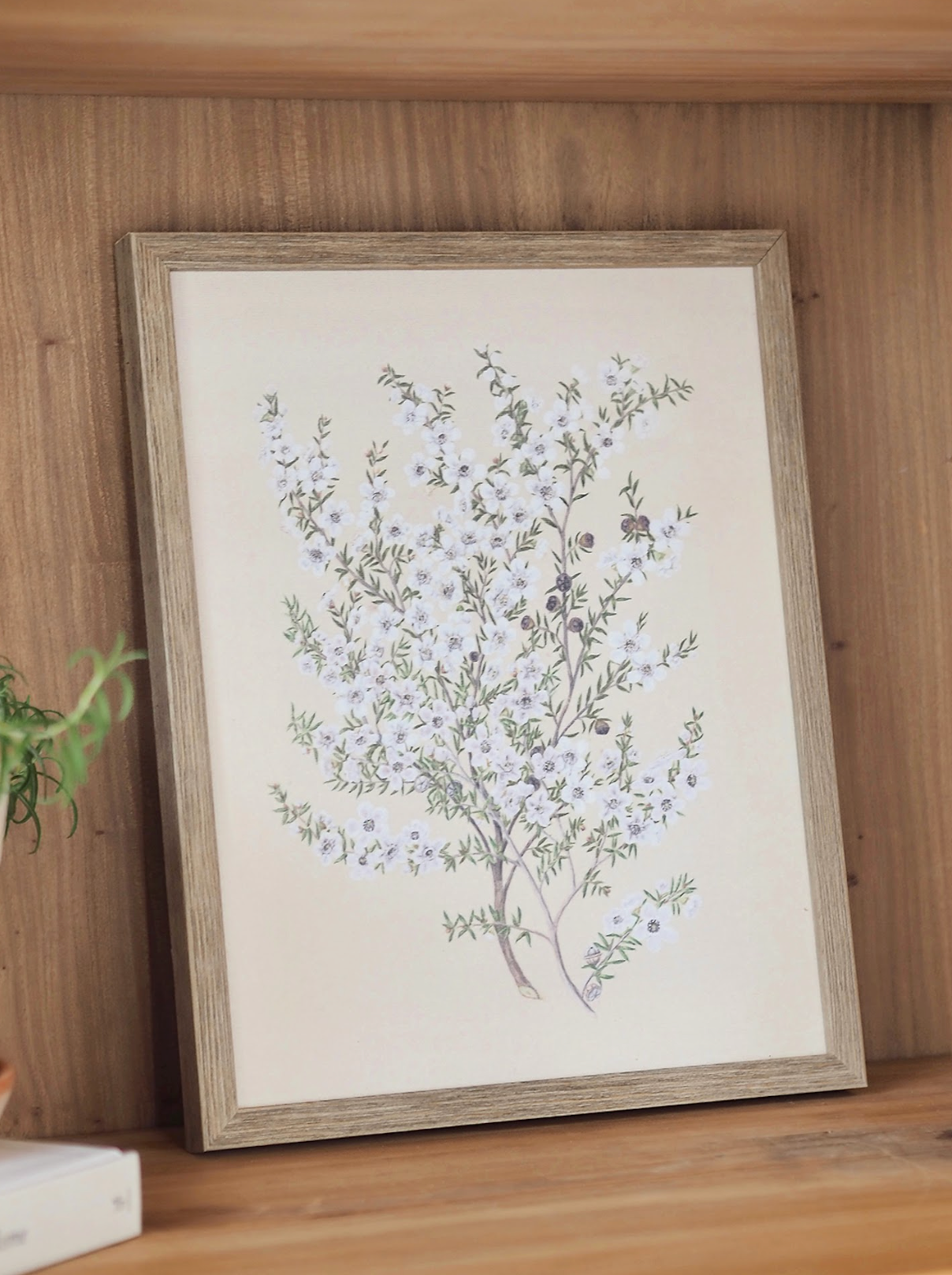 Botanical Manuka Framed Canvas Print | 11x14 - The Cross Decor & Design
