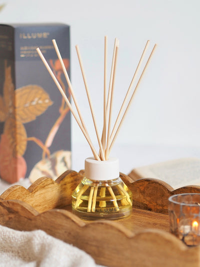 Midnight Pumpkin Aromatic Diffuser