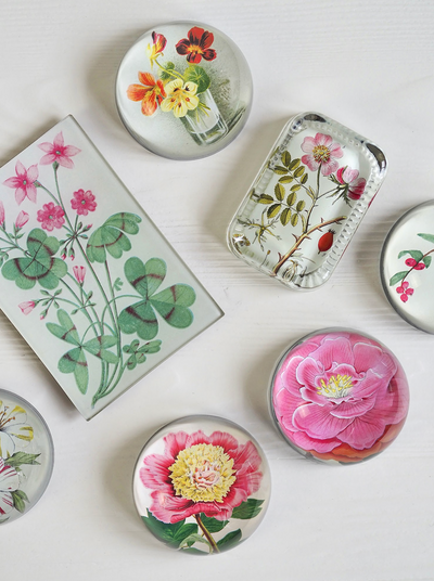 Peony Albifl Dome Paperweight - The Cross Decor & Design