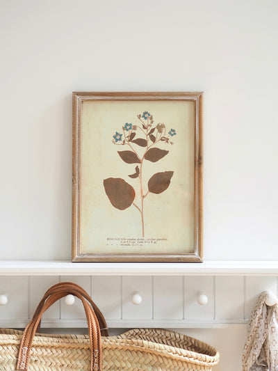 Botanicals Framed Prints | 10" x 13" - The Cross Decor & Design