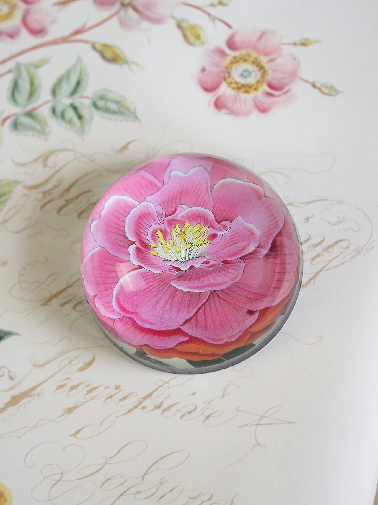 Camellia Dome Paperweight - The Cross Decor & Design