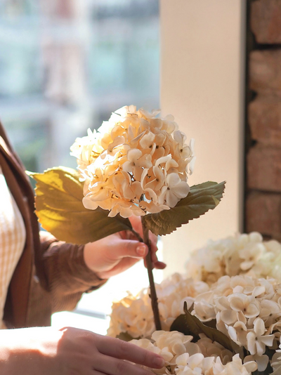 Hydrangea Cream Floral Stem