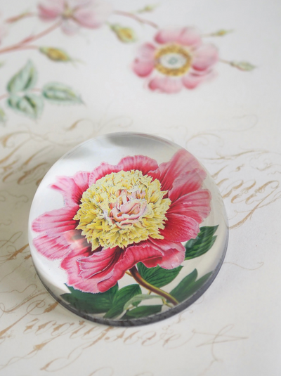 Peony Albifl Dome Paperweight - The Cross Decor & Design
