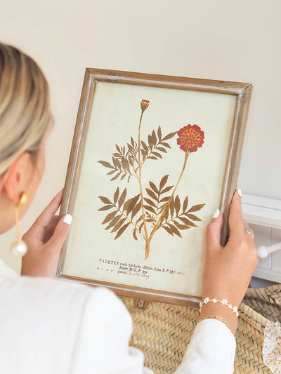 Botanicals Framed Prints | 10" x 13" - The Cross Decor & Design