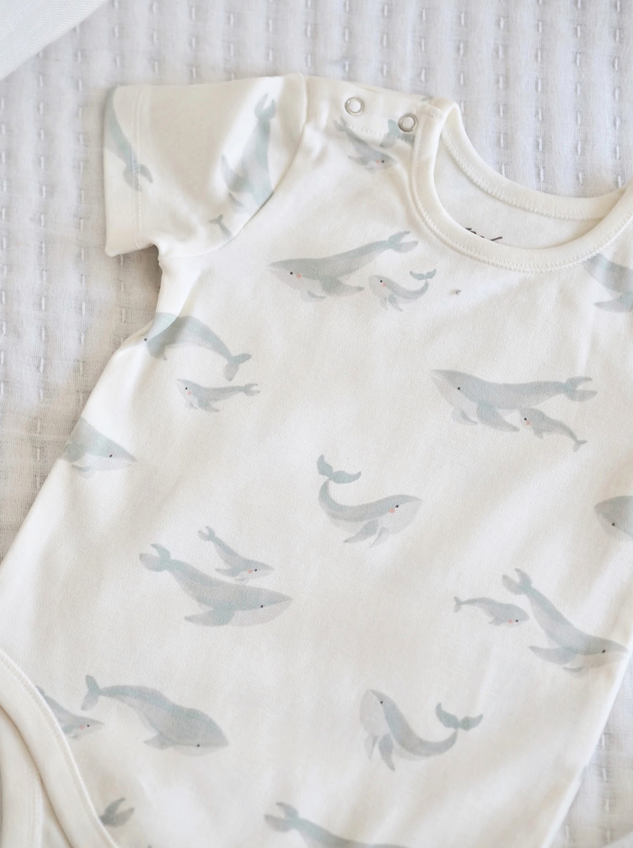 Follow Me Whales Short Sleeve One-Piece - The Cross Decor & Design