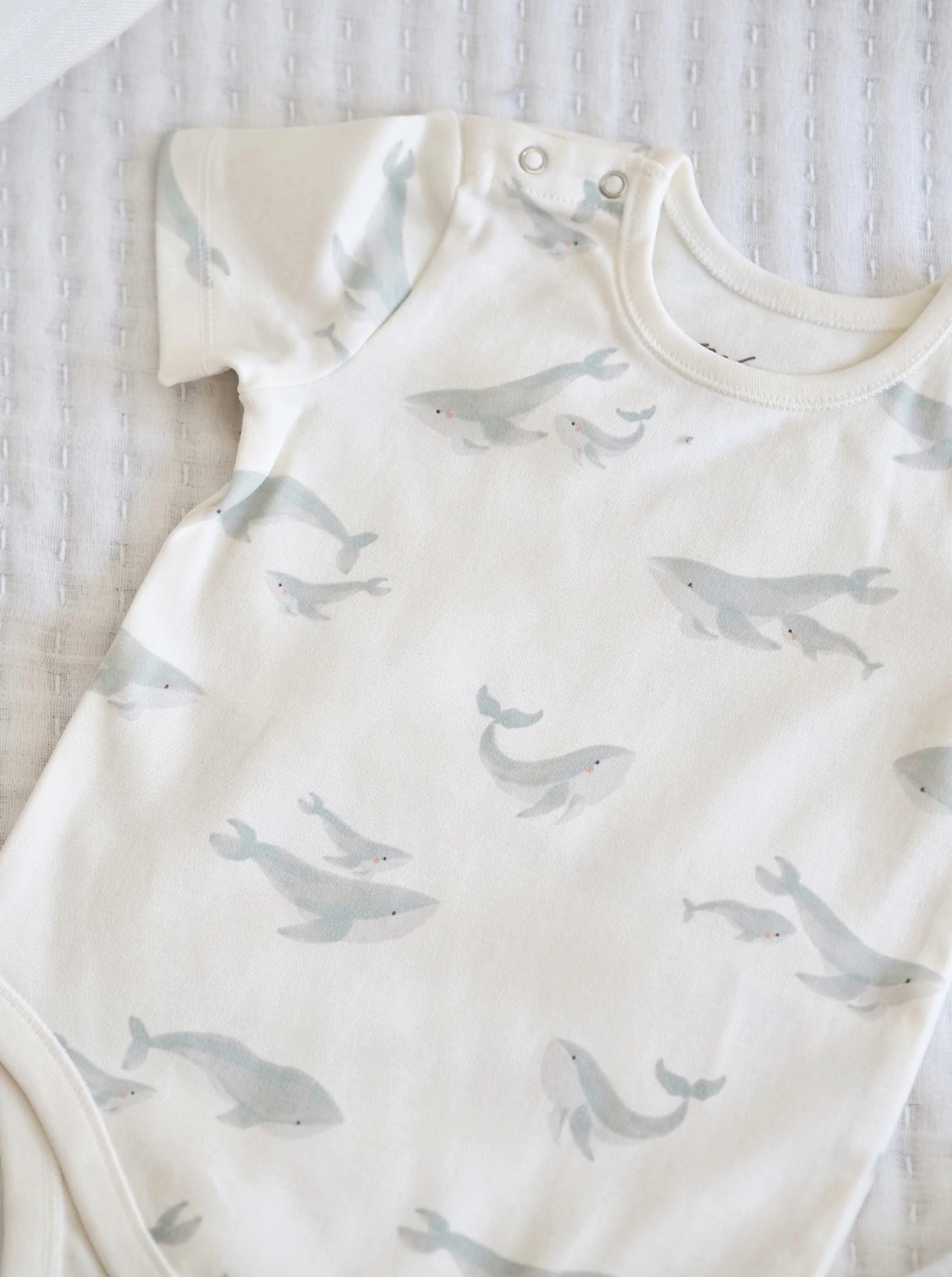 Follow Me Whales Short Sleeve One-Piece