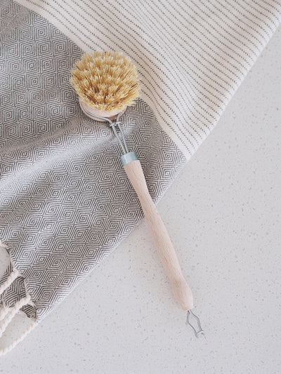 Spotless Dish Brush