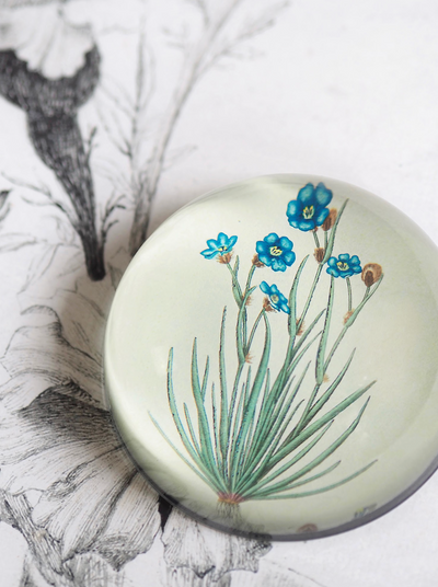 Aristia Oyanea Dome Paperweight - The Cross Decor & Design