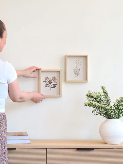 White Scabious Framed Print 8.5x7"