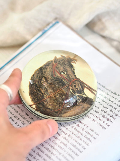 Terre a Terre a Droite (Horseman) Dome Paperweight