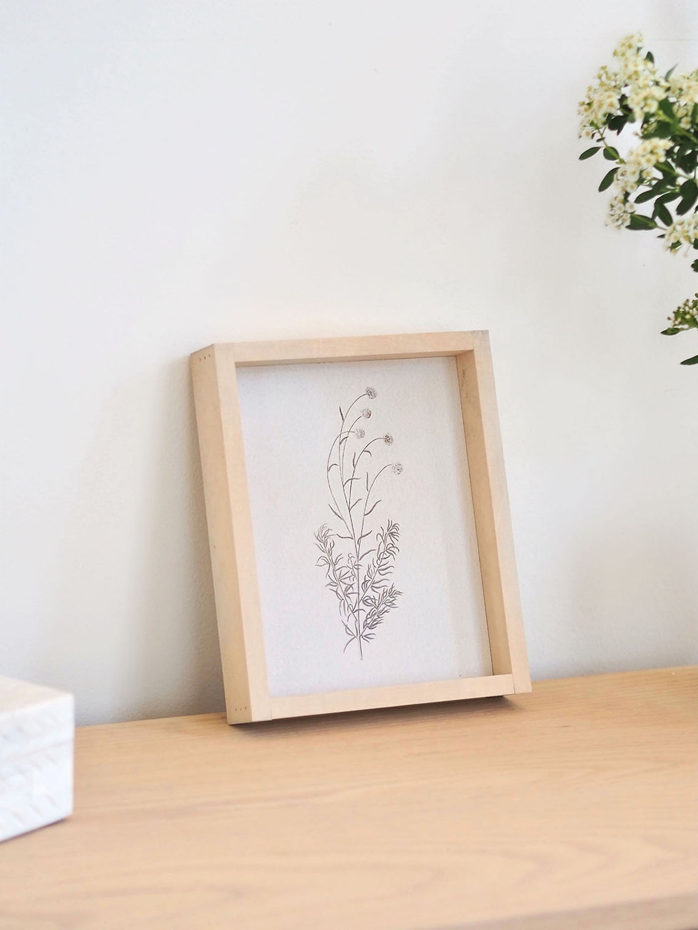 White Scabious Framed Print 8.5x7"