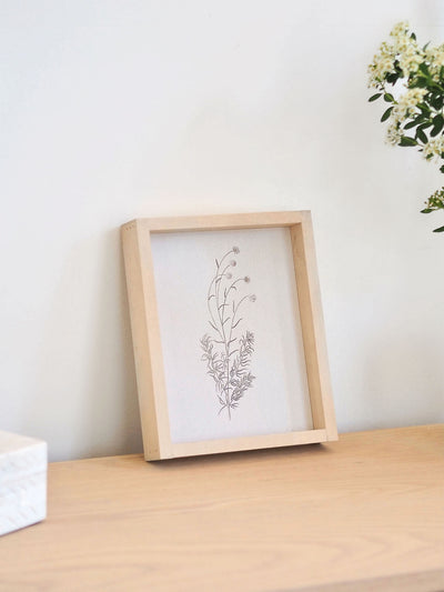 White Scabious Framed Print 8.5x7"