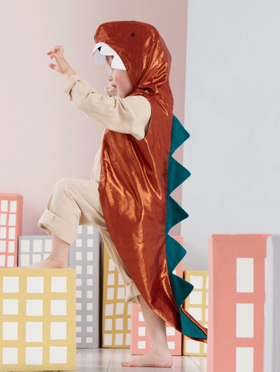 Dinosaur Dress Up Age 3-6 Years