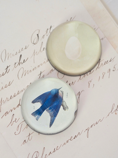 Pudgy (Bluebird) Dome Paperweight - The Cross Decor & Design