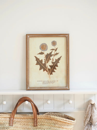 Botanicals Framed Prints | 10" x 13" - The Cross Decor & Design