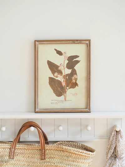 Botanicals Framed Prints | 10" x 13" - The Cross Decor & Design