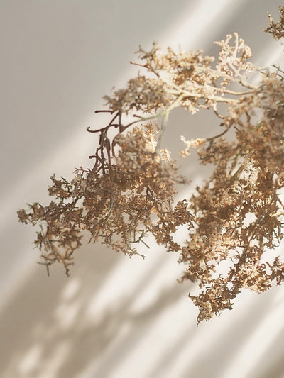 Faux Moss Branch