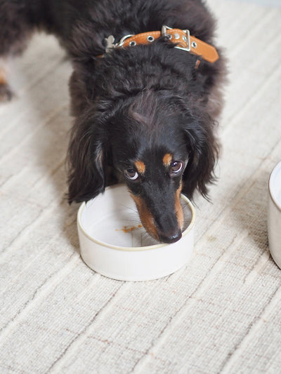 Bonely White Pet Bowls - The Cross Decor & Design