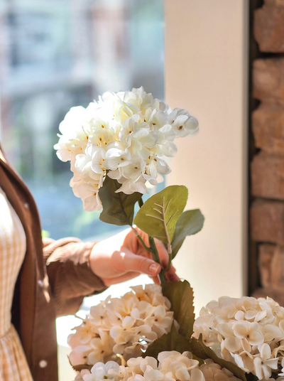 Hydrangea White Floral Stem