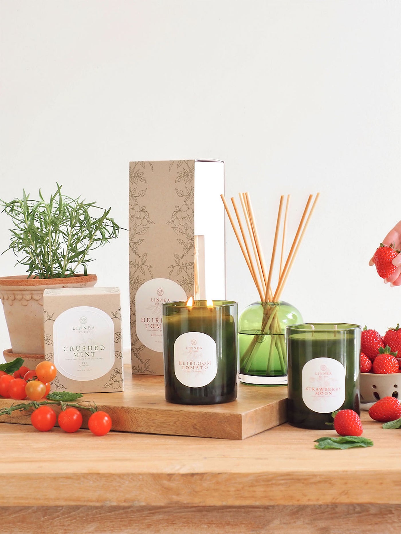 Heirloom Tomato Diffuser Kit